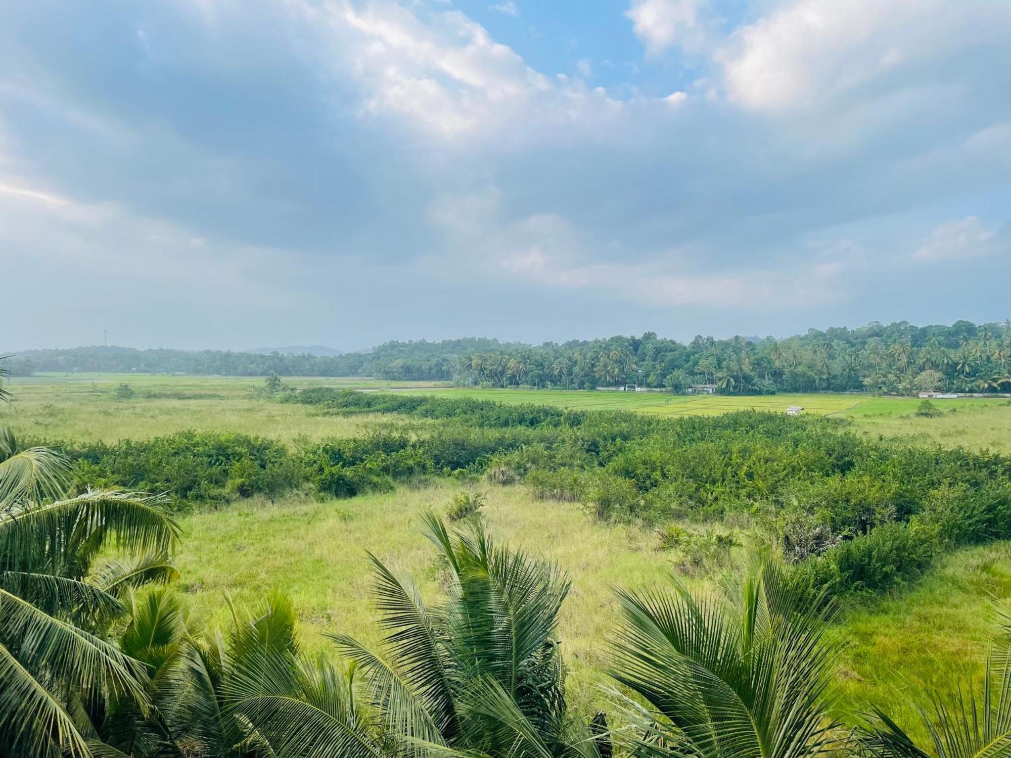 Island House Hotel ดิคเวลลา ภายนอก รูปภาพ
